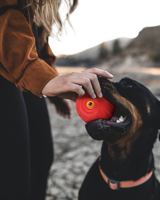 Mewlmart Giggle Ball for Dogs Interactive Dog Toys for Aggressive Chewers Dog Ball Toy for Puppy Medium Large Dogs Natural Rubber Cute Owl Hoot Fun Giggle Sounds When Rolled or Shaken