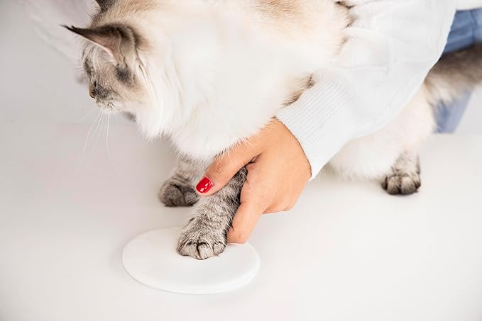 Pearhead Cat Paw Print Keepsake, Fish Shape Hanging Keepsake for Pets, DIY Hanging Pawprint Ornament