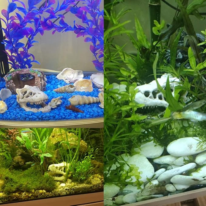 2 Pack Dinosaur Aquarium Decorations Skull Aquarium Ornament Mini Dinosaur Mold Decoration Tank Reptile Hide Decor with Holes Fish Tank Landscape Reptile Betta Fish Hideout Caves
