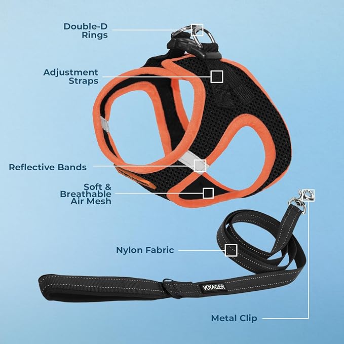 Best Pet Supplies Voyager Step-in Air All Weather Mesh Harness and Reflective Dog 5 ft Leash Combo with Neoprene Handle, for Small, Medium and Large Breed Puppies - Black/Orange Trim, Large