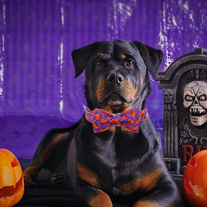 Dog Collar - Halloween Pumpkin Bowtie Pet Collar Gift Soft Bow Collar Pet Adjustable Metal Buckle Puppy Collars for X-Small Dogs