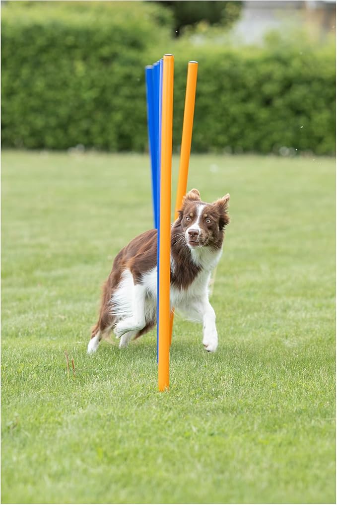 Trixie Dog Agility Slalom Course - 12 Adjustable Weave Poles Backyard Set - Portable Training Equipment with Carrying Bag & Training Guide - for All Breeds