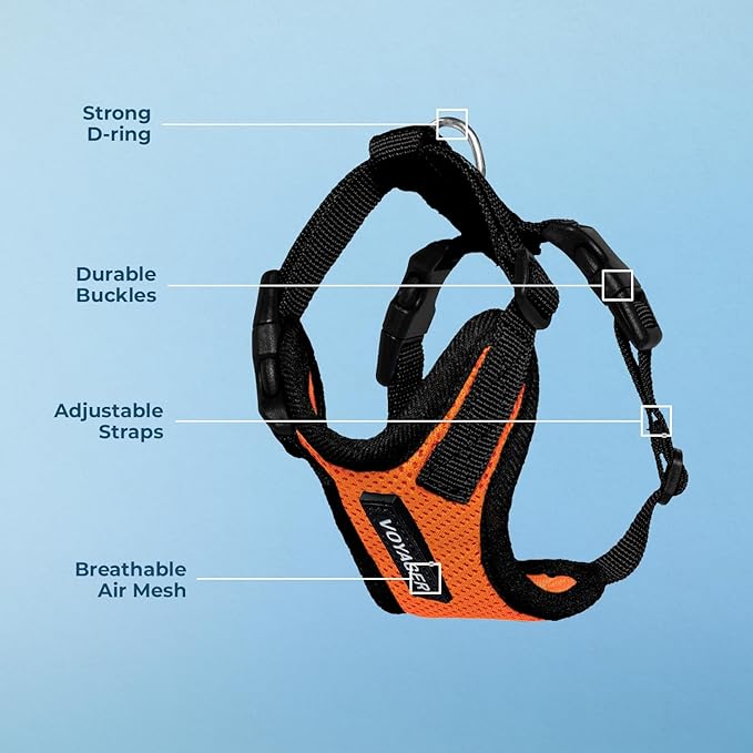 Voyager Step-in Pet Harness - All Weather Mesh, Adjustable Step in Harness for Cats and Dogs by Best Pet Supplies - Orange/Black Trim, XS