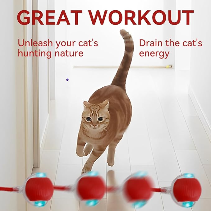 Interactive Electric Automatic Rolling Moving Rechargeable Self Play Stimulation Toy,Smart Pet Chase Ball with Speedy Tail Rope for Bored Indoor Cats Enrichment,stimulating Dogs Toy (Red)