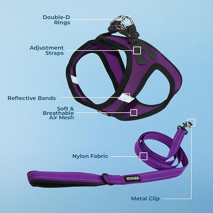 Best Pet Supplies Voyager Step-in Air All Weather Mesh Harness and Reflective Dog 5 ft Leash Combo with Neoprene Handle, for Small, Medium and Large Breed Puppies - Purple/Black Trim, XX-Small