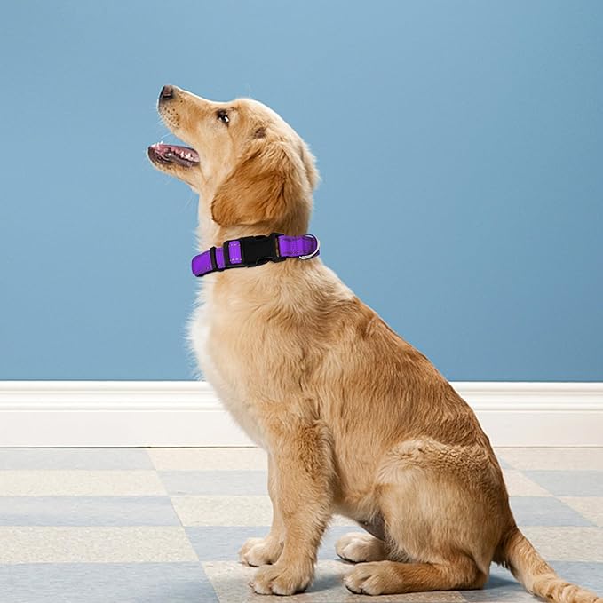 Reflective Dog Collar, Adjustable Soft Neoprene Padded Nylon Pet Collars with Buckle for Puppy and Small Dogs, Cats, Purple,XS