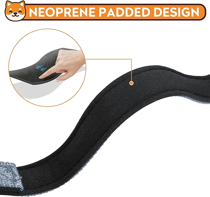 Reflective Dog Collar, Adjustable Soft Neoprene Padded Nylon Pet Collars with Buckle for Puppy and Small Dogs, Cats, Gray,XS