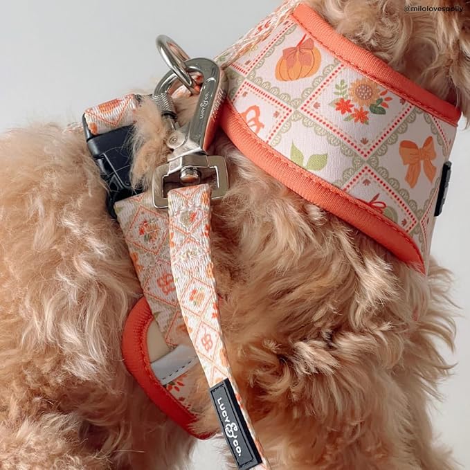 Lucy & Co. Cute Reversible Dog Harness Walking Halter - Best Designer Pet Harnesses for XS - XL Dogs - Padded Adjustable Vest for Easy Walking-XLarge-Orange Cream Pumpkin