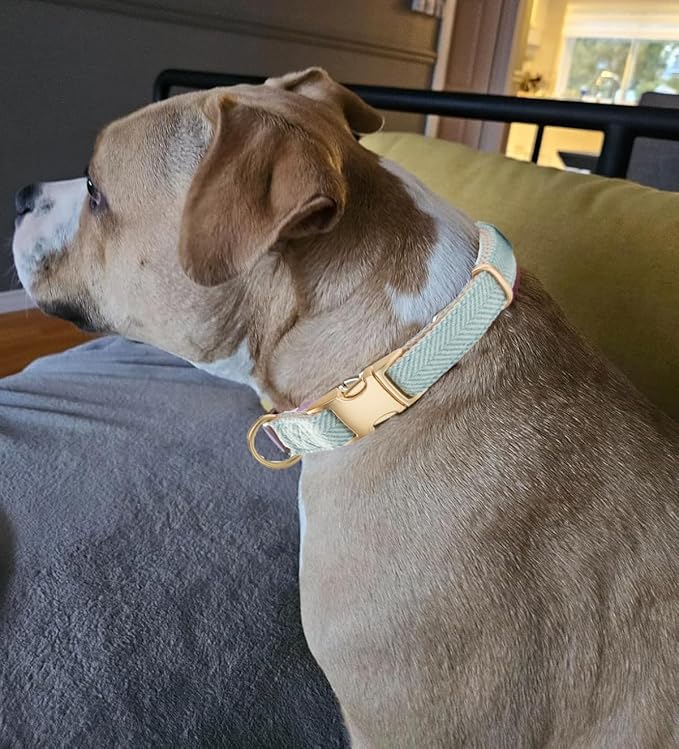 Soft Cotton Hemp Dog Collar with Metal Buckle Adjustable Tweed Dog Collars for Small Medium Large Dogs(Blue,Large)