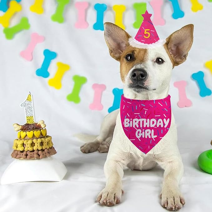 Dog Birthday Bandana Set, Rose Pink Birthday Girl Decorations, HBD Party Supplies with Hat Bandana Numbers for Pets (Pink)
