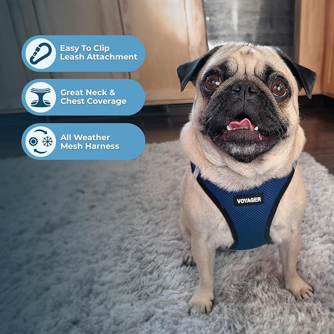 Best Pet Supplies Voyager Step-in Air All Weather Mesh Harness and Reflective Dog 5 ft Leash Combo with Neoprene Handle, for Small, Medium and Large Breed Puppies - Blue/Black Trim, X-Small