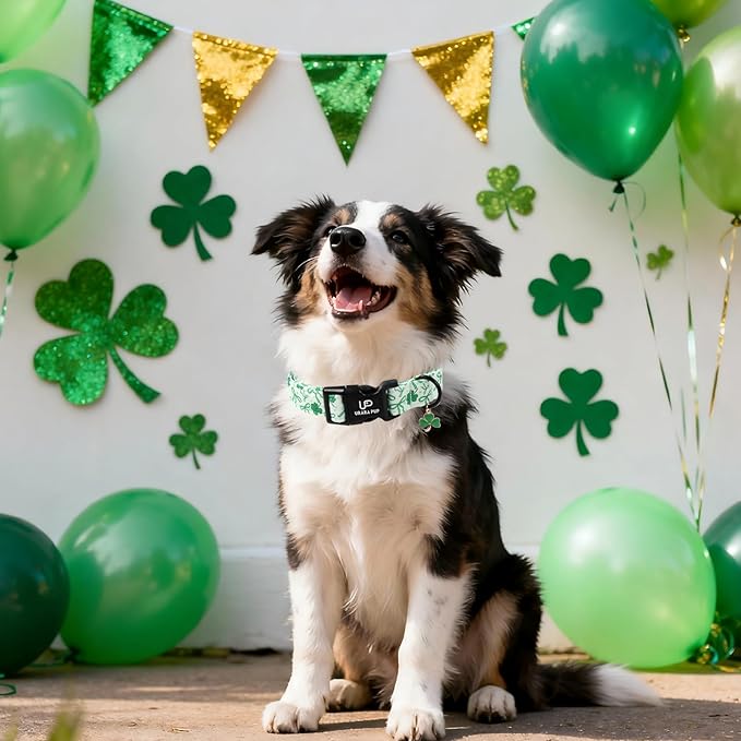 St. Patrick's Day Dog Collar, UP URARA PUP Shamrock Adjustable Pet Collar with Quick Release, Daily Dog Accessories for Small Medium Large Dogs