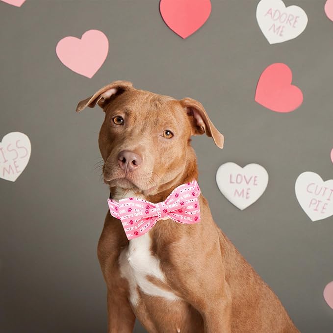 Lionheart Glory Bow Collar for Valentine's Day and Spring - Large Dog Collar With Bowtie, Pink Pet Collar