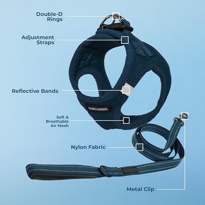 Best Pet Supplies Voyager Step-in Air All Weather Mesh Harness and Reflective Dog 5 ft Leash Combo with Neoprene Handle, for Small, Medium and Large Breed Puppies - Set (Blue), XS