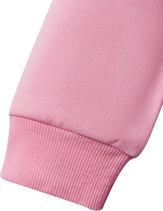Toddler Baby Girls Cotton Sweater, Long Sleeve Crewneck Sweatshirt Pullover Kids Warm Clothing for Fall Winter
