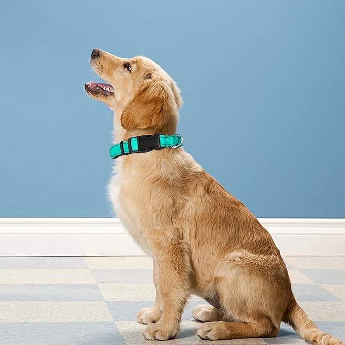 Reflective Dog Collar, Adjustable Soft Neoprene Padded Nylon Pet Collars with Buckle for Small Dogs, Teal,S