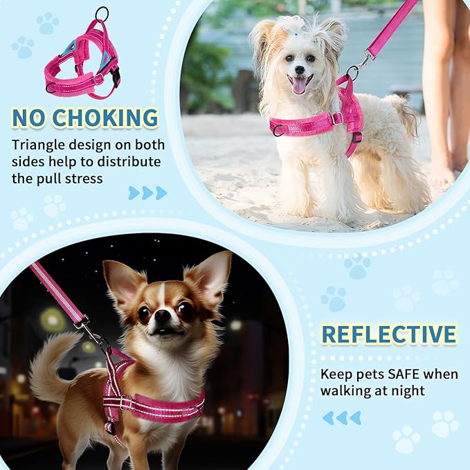 SlowTon No Pull Small Dog Harness and Leash Set, Puppy Soft Vest Harness Neck & Chest Adjustable, Reflective Lightweight Harness & Anti-Twist Pet Lead Combo for Small Medium Dogs(FU,L)