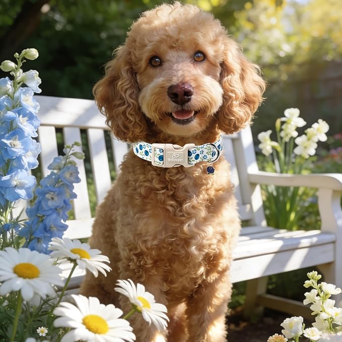 Spring/Summer Dog Collar for Small Dogs - Fresh Blueberry Girl Boy Dog Collars, Soft Lightweight Puppy Collar, Breathable Adjustable Male Female Fruit Floral Dogs Collars XS