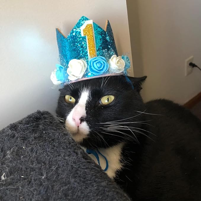 Pet Crown Hat Dog Birthday Reusable Birthday Party Crown for Boy Cat Doggie Headband Hats with 0-9 Figures Charms Pet Gift Grooming Accessories with Glue Dots Pack of 1(Blue)