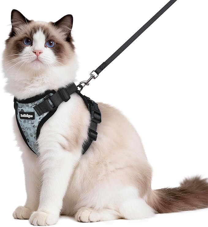 rabbitgoo Cat Harness and Leash for Walking, Escape Proof Soft Adjustable Vest Harnesses for Cats, Easy Control Breathable Reflective Strips Jacket, Doodle Gray,M