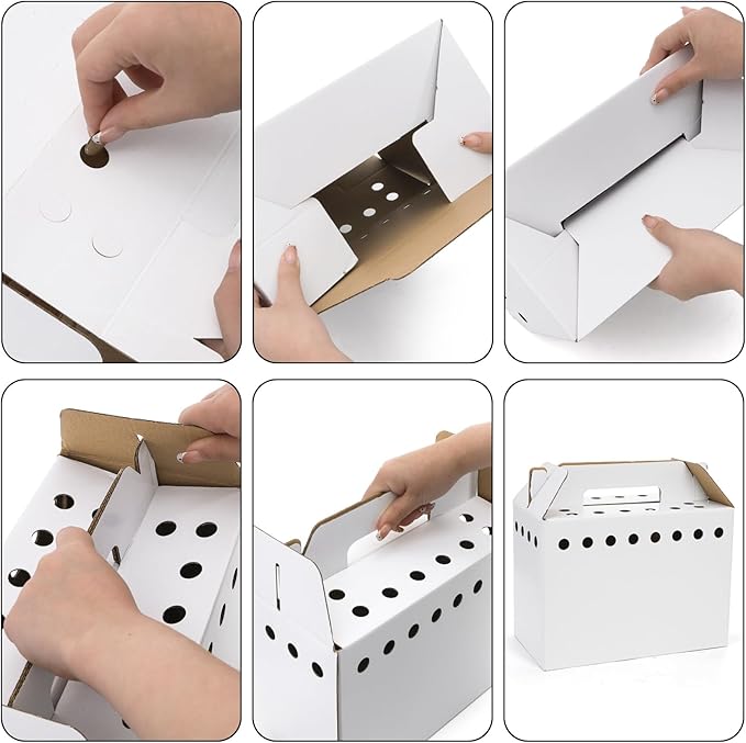 Coloch 20 Pack Cardboard Pet Carrier for Small Pets, 11x8x6 Inches Disposable Pet Transport Box for Pullets, Fowls, Hamsters, Gerbils, Reptiles, Guinea Pigs