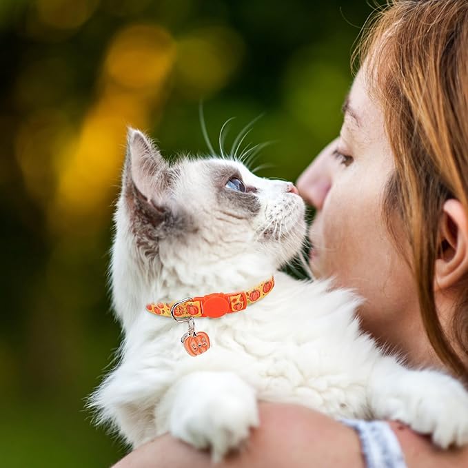 SCENEREAL Fall Thanksgiving Cat Collar Breakaway Girl Boy, Safety Buckle Soft Adjustable Cats Collars with Bells for Daily Wearing, Holiday Kitten Puppy Personalised Collars for Dogs