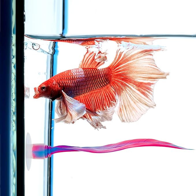 WILLBOND 2 Pcs Pink Silicone Betta Fish Bed Leaf Hammock Betta Fish Tank Accessories Decorations for Aquarium Ornaments, Practical Resting Spot, No Bpa, Comfortable and Safe
