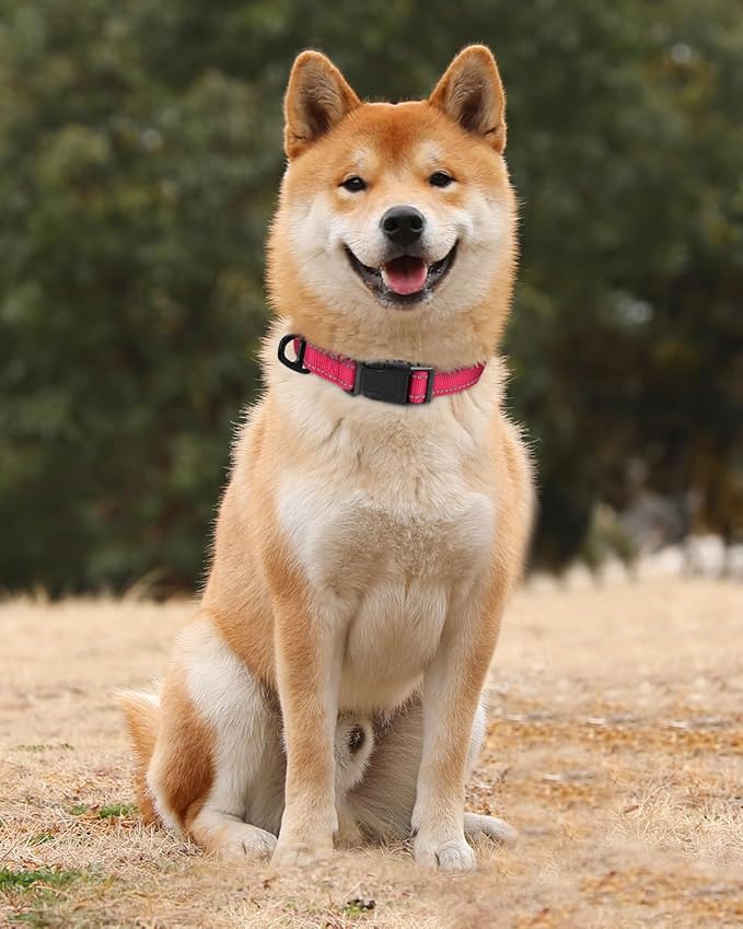 TagME Dog Collar, Adjustable Reflective Nylon Pet Collar with Quick Release Buckle for Medium Dogs, Hot Pink, 1.0" Width
