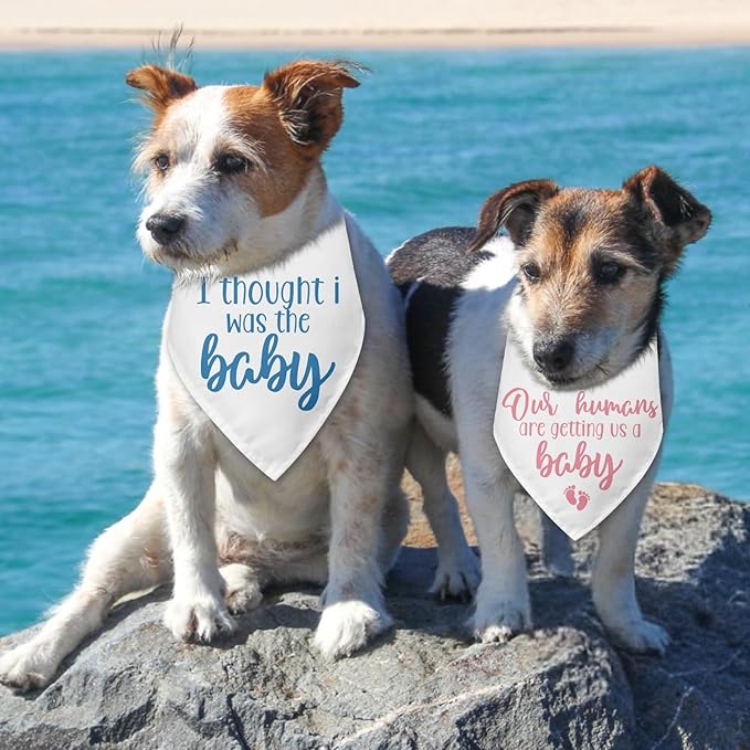 2 Packs Baby Announcement Dog Bandana Our Humans are Getting Us a Baby Gender Reveal Pet Dog Triangle Scarf Accessories Pregnancy Announcement for Small Medium Large Dogs Cats