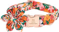 Lionheart Glory Cute Floral Pattern Pet Collar - Adjustable for X-Large Dogs