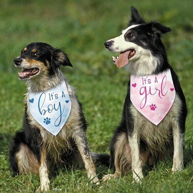 2 Packs It's a Boy and It's a Girl Gender Reveal Dog Bandana Baby Announcement Pet Triangle Scarf Accessories Pink and Blue Dog Bandana for Small Medium Large Dogs Cats