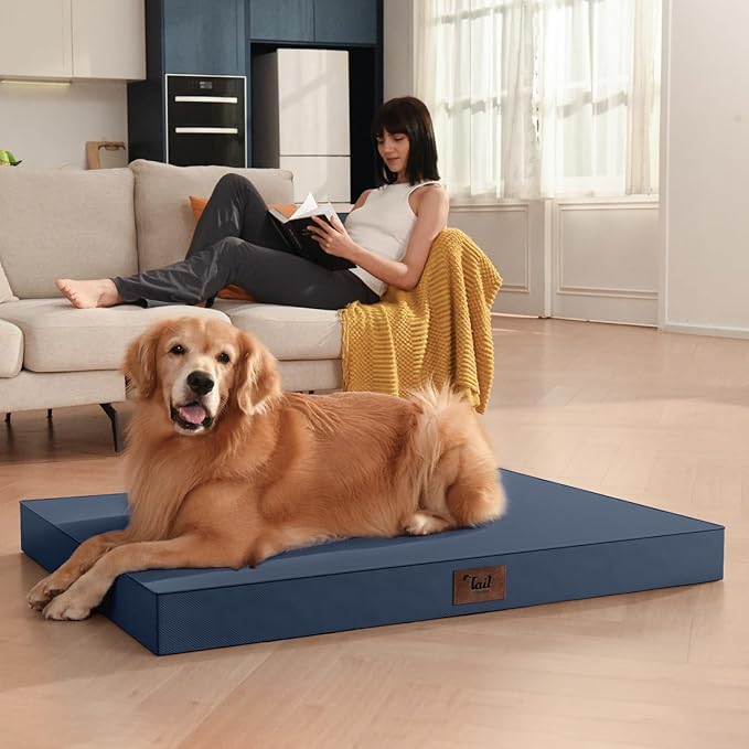 Outdoor Waterproof Dog Bed, Orthopedic Dog Bed for Medium Dogs 30x20 Inch, Egg Crate Foam Pet Bed with Washable Removable Oxford Cooling Cover, Navy