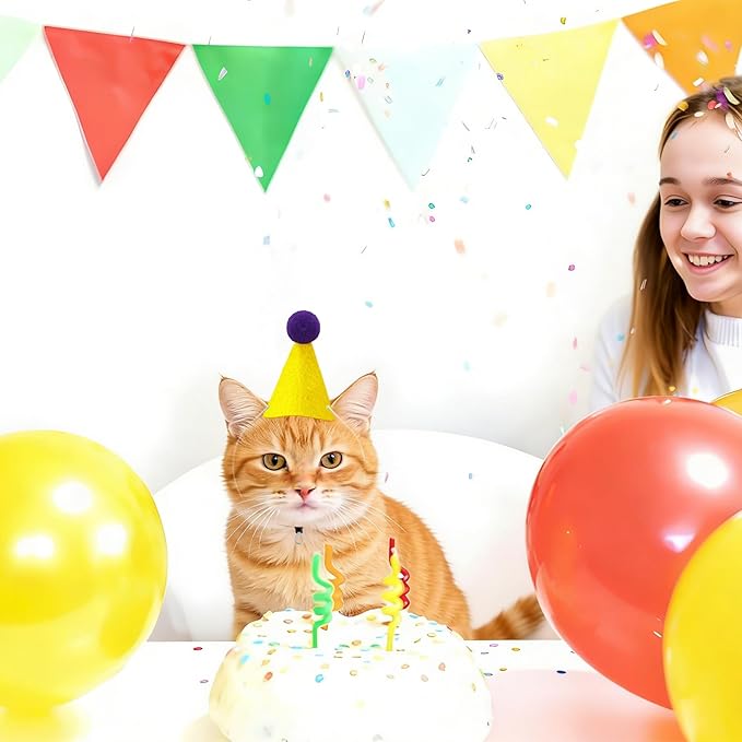 12 PCS Mini Party Hats for Stuffed Animals Birthday Felt Cone Hat with Pompom Adjustable Pets Birthday Party Hats for Assorted Animal Dog Cat Rabbit Puppies Costume Accessories Decor