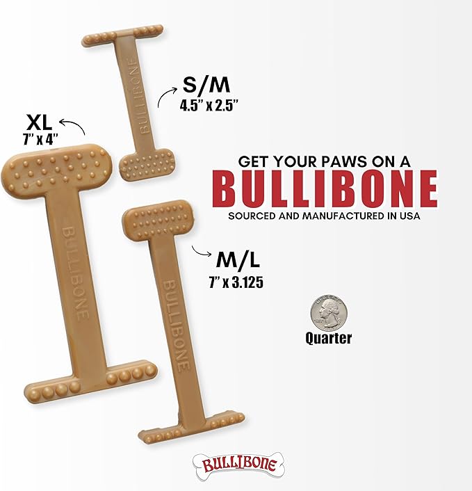 Bullibone Nylon Dog Chew Toy for Aggressive Chewers - Dental Hygiene Bone with Bacon Flavor, Durable Tough Chew Toys for Small Dogs, Indestructible Dog Bone - 3 Pack