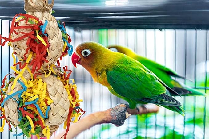 2PCS Bird Foraging Toys, Parrot Shredding Chewing Shredder Hanging Toys, Parakeets Shredded Paper Bird Cage Accessories Toy for Small Parrots, Conures, Love Birds, Cockatiels