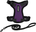 Voyager Escape-Proof Step-in Lock Cat Harness & 5ft Neoprene-Handle Leash Set All-Weather Mesh with Reflective Stitching for Small to Large Cats by Best Pet Supplies, Purple/Black Trim, XXXS