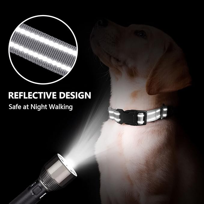 Martingale Dog Collar, Adjustable Nylon Reflective Collar with Buckle No Pull Dog Collar for Small Medium Large Dogs (Grey,L)