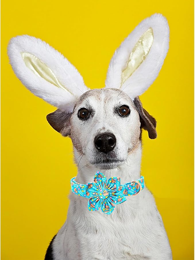 Lionheart glory Easter Day Dog Collar with Flower Dog Collar for Large Dogs, Easter Egg Dog Collars Colorful Dog Collar Spring Collars Pet Collar Flowers