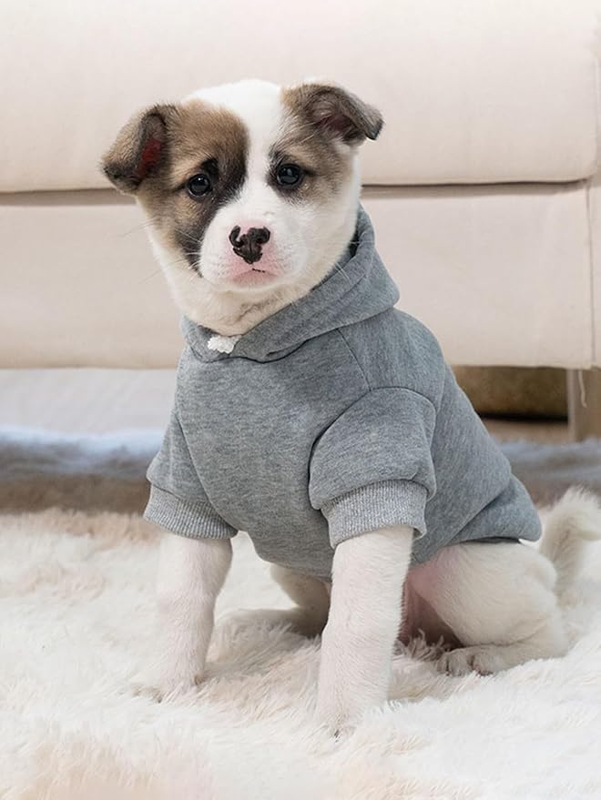 QWINEE Basic Dog Hoodie Sweatshirt Puppy Sweater Warm Cat Costumes Pet Clothes for Chihuahua Puppy Kitten Small Medium Dogs Grey and Cadet Blue Large