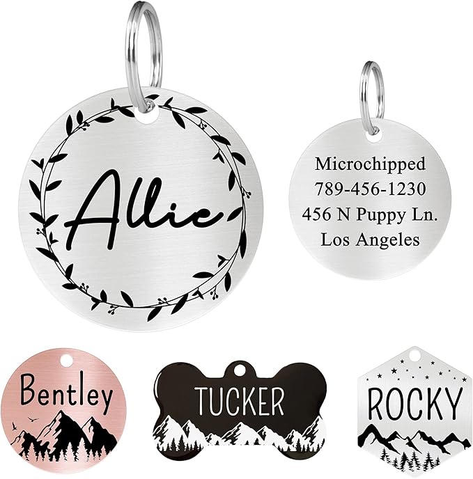 Ultra Joys Stainless Steel Pet ID Tag Dog Name Tags Personalized Front and Back Engraving, Customized Dog Tags and Cat Tags, Optional Engraved on Both Sides, Round Tag Vine Design 2, Silver Large