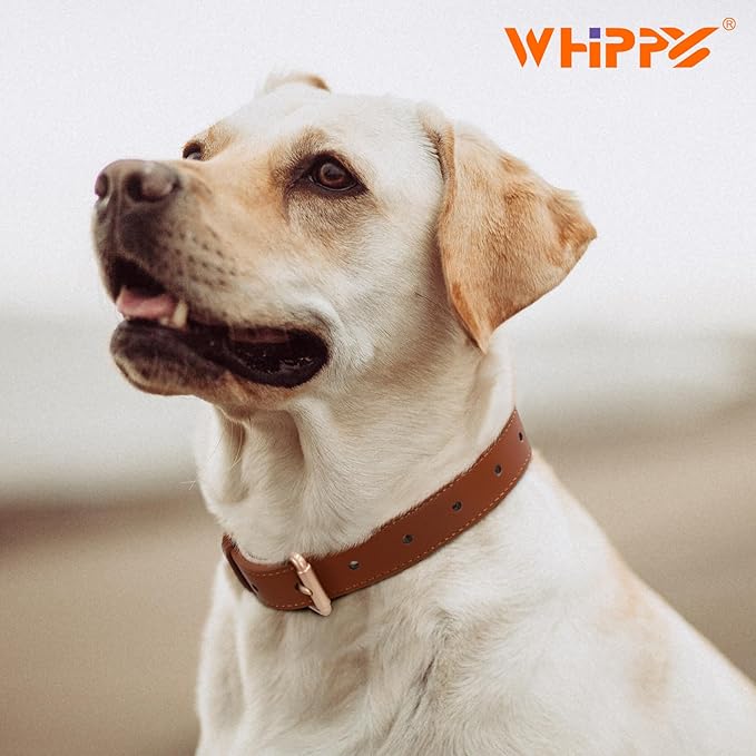 WHIPPY Leather Dog Collar for Small Medium Large Dog Adjustable Soft Breathable Leather Padded Puppy Collar with Alloy Buckle Heavy Duty Waterproof Classic Dog Pet Collar,Brown,S