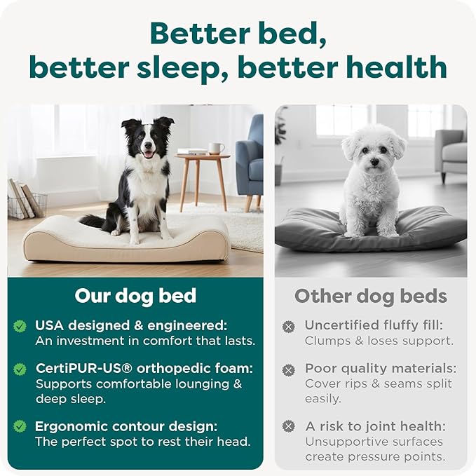 FurHaven Orthopedic Dog Bed for Large/Medium Dogs, Luxe Lounger Contour Mattress with Medical-Grade Solid Orthopedic Foam for Joint Support, Removable Washable Cover, Large, Plush Suede, Cream