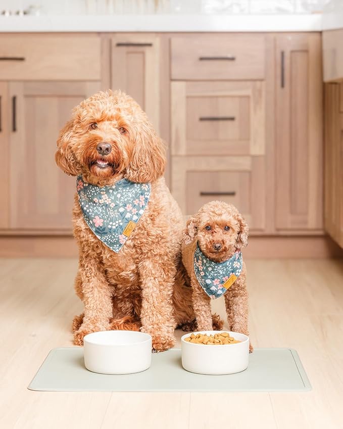 Remy+Roo Sage Silicone Dog Food Mat for Pet Bowl | 100% Waterproof | Non-Slip | Dishwasher Safe