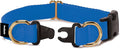 PetSafe KeepSafe Collar for Dogs - Protects Against Collar Accidents - Long Lasting - Durable - Adjustable - Breakaway - Outdoor-Safe - Large - 1 In. Wide - Blue