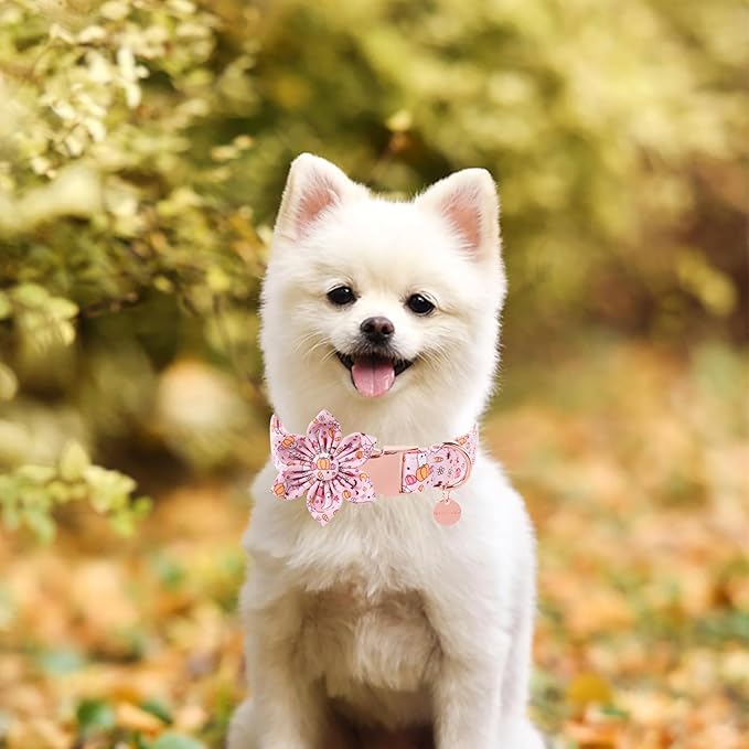 Halloween Dog Collar With Flower, Pink Puppy Collar With Adjustable Metal Buckle, Fancy Bowtie Gift for Girl Boy Dog, L
