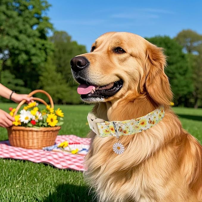 Sunflower Dog Collar, Adjustable Cute Dog Collars for Puppy Small Dogs, Lightweight Summer Fall Pet Collar with Quick-Release Buckle for Boy&Girl Dogs XS