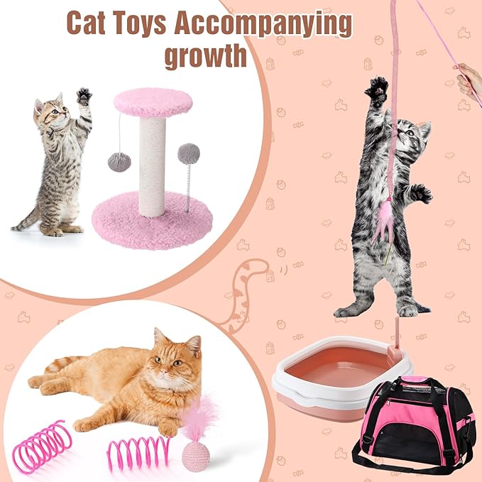 Eccliy Kitten Starter Kit, 10 Pcs Cat Starter Kit for Indoor Cats Kitten Essentials Includes Litter Box, Pet Toy, Folding Carrier, Climbing Frame, Mat, Collar, Automatic Food Bow(Classic,Pink)