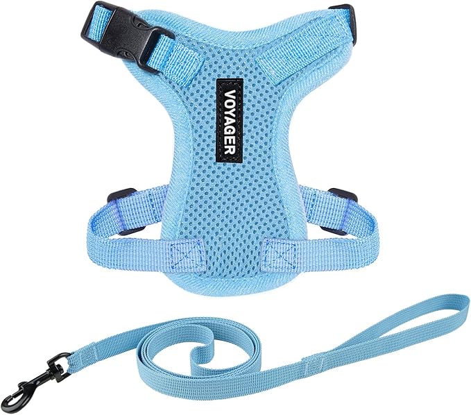 Voyager Escape-Proof Step-in Lock Cat Harness & 5ft Neoprene-Handle Leash Set All-Weather Mesh with Reflective Stitching for Small to Large Cats by Best Pet Supplies, Baby Blue, XS