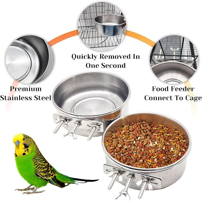 PINVNBY 2pcs Stainless Steel Bird Bowl Feeding Dish Cups for Parrot, Parakeet, African Greys, Conure, Cockatiels, Lovebird, Budgie, Chinchilla (L)