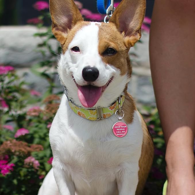 MYLUCKYTAG QR Code Pet ID | Personalized Dog & Cat Collar Tag | Online Profile with Instant Scanned Location Alert Email